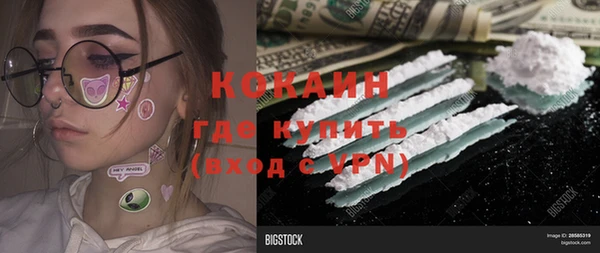 стафф Алзамай