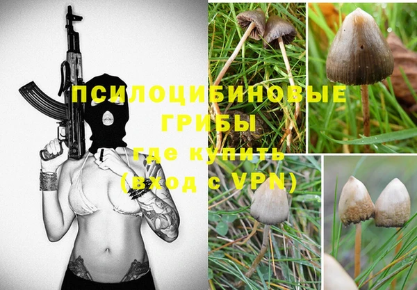 apvp Абаза