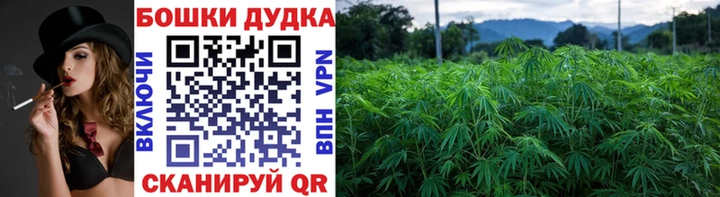 Марихуана Ganja  Нефтеюганск 